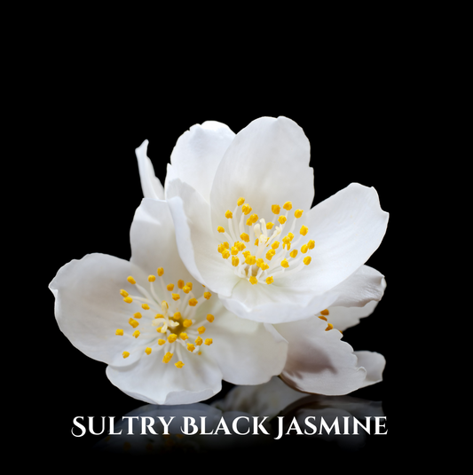 8oz Body Butter SULTRY BLACK JASMINE